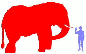 African Bush Elephant And Human African Bush Elephant And Human