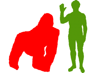 Humans might be big, but the Mountain Gorilla is the world's biggest primate Humans might be big, but the Mountain Gorilla is the world's biggest primate