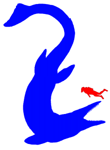 El Tylosaurus es el reptil siempre marino más grande del mundo