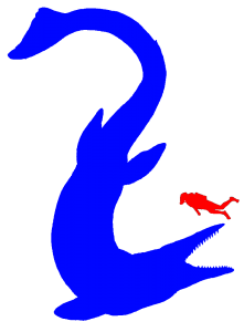 Das Tylosaurus ist das größte überhaupt Marinereptil der Welt Das Tylosaurus ist das größte überhaupt Marinereptil der Welt