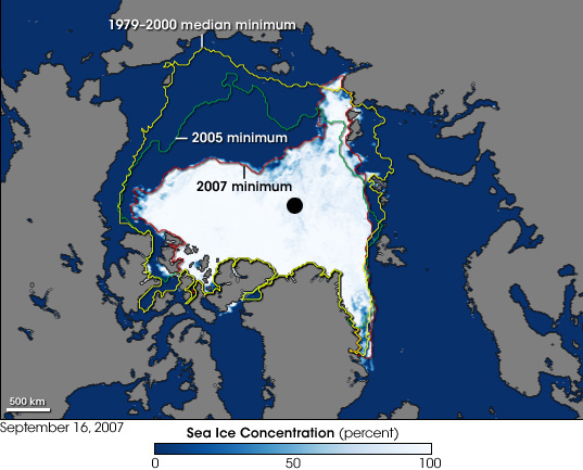 L'habitat dell'orso polare è minacciato da riscaldamento globale