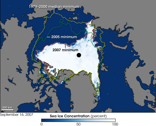 El hábitat del oso polar es amenazado por el calentamiento del planeta El hábitat del oso polar es amenazado por el calentamiento del planeta