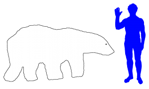 L'ours blanc est la plus grande terre Carnivoran du monde
