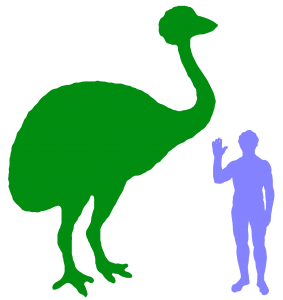 Elephant Bird And Human