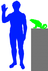 Goliath Frog and Human