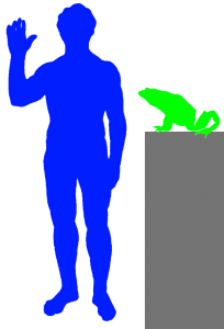 Goliath-Frosch und -mensch Goliath-Frosch und -mensch