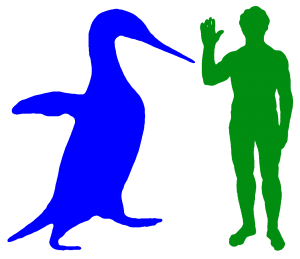Anthropornis and Human - Adapted from a sketch by Wikimedia user "Philip72"