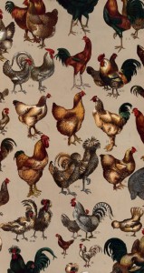 Chicken are Typical Galliformes Chicken are Typical Galliformes