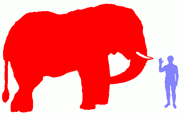 elephant-and-human1
